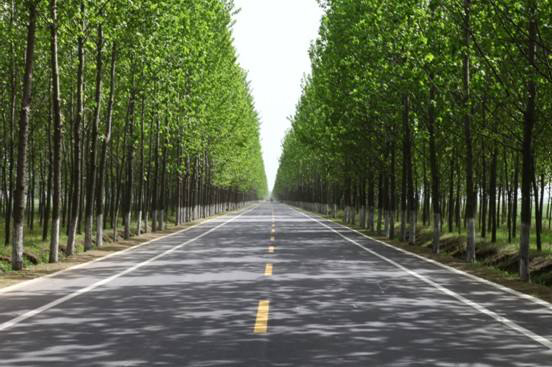 公路、綠化、廣場工程